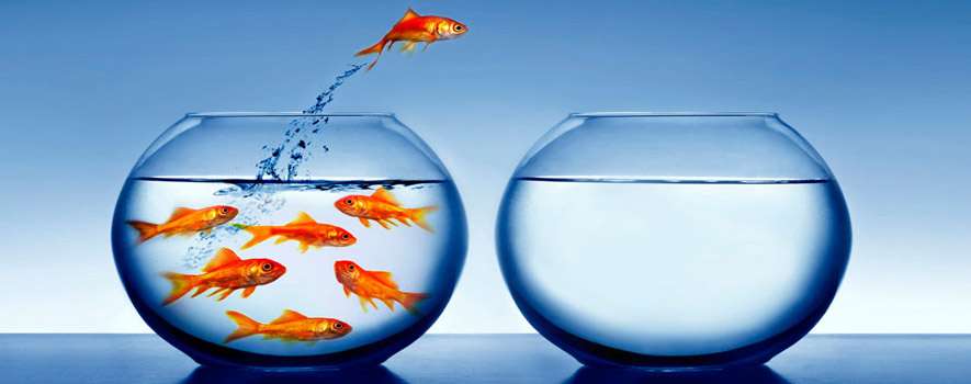 nieuw tv en internet abonnement