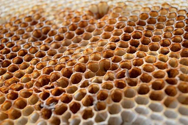 honinggraadstructuur